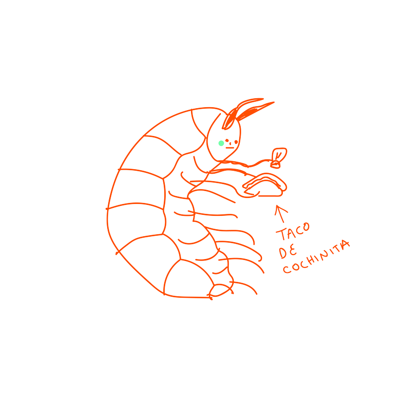 Cochinita