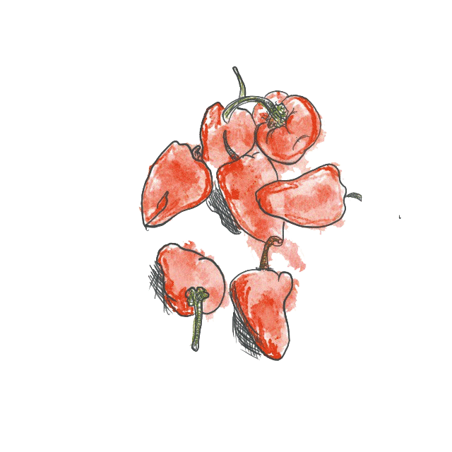 Pimientos pochados