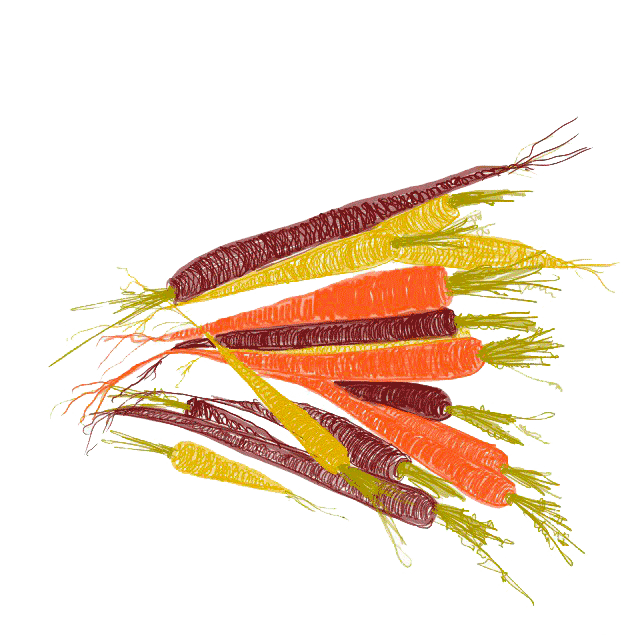 Zanahorias baby