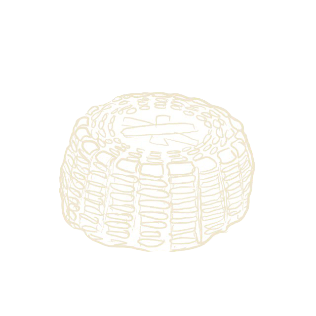 Queso Panela